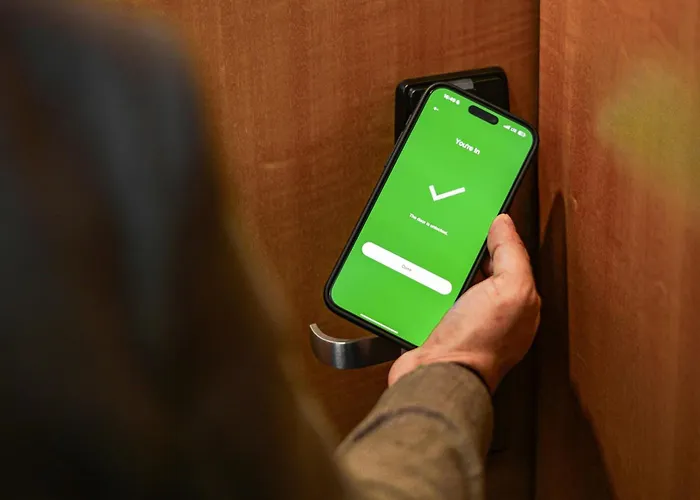 Lugal, A Luxury Collection Hotel, 5* アンカラ