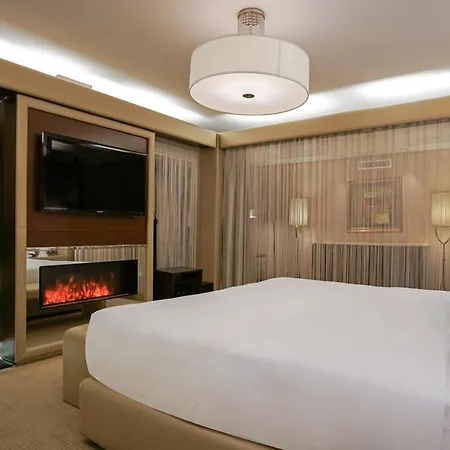 Lugal, A Luxury Collection Hotel, 5* アンカラ
